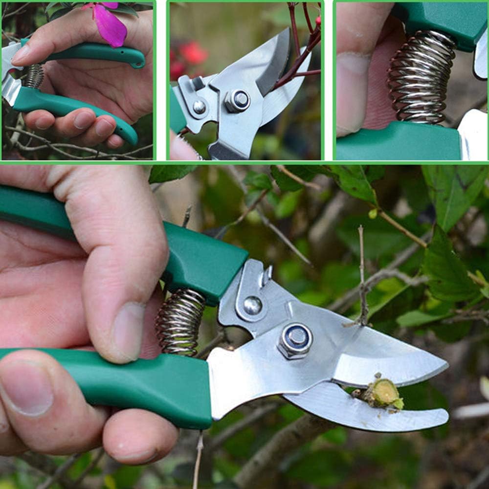 Lelekey Garden Tool Set, 12 Piece Stainless Steel Hand Tool Kit with Shovel Rake Weeder Pruner Shear Sprayer & Carrying Case, Gardening for Men,Women Gardener & Plant Lover (Green)