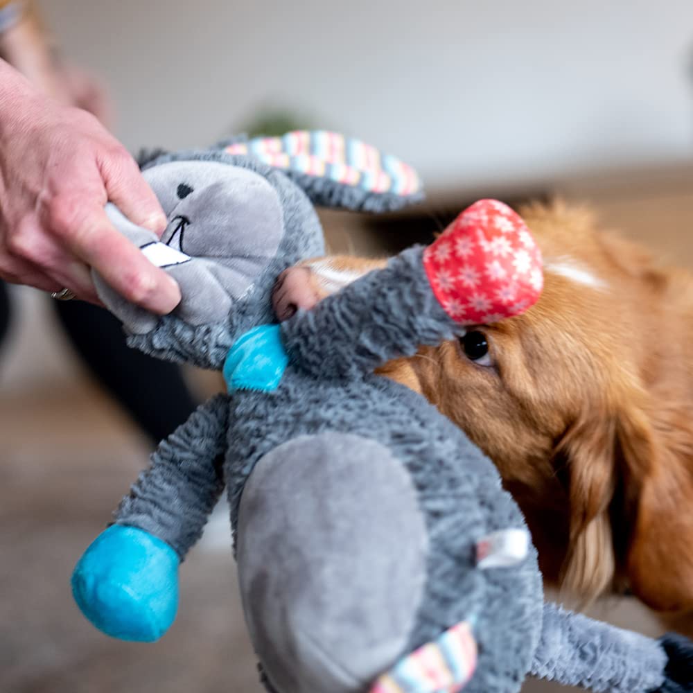 Nobby Peluche Asino per Cani, 56 cm, 1 Pezzo