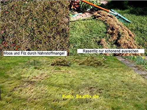 Wesi Rasendnger - Rasen dngen mit Konzept, wie die Profis! : Amazon.de:  Garten
