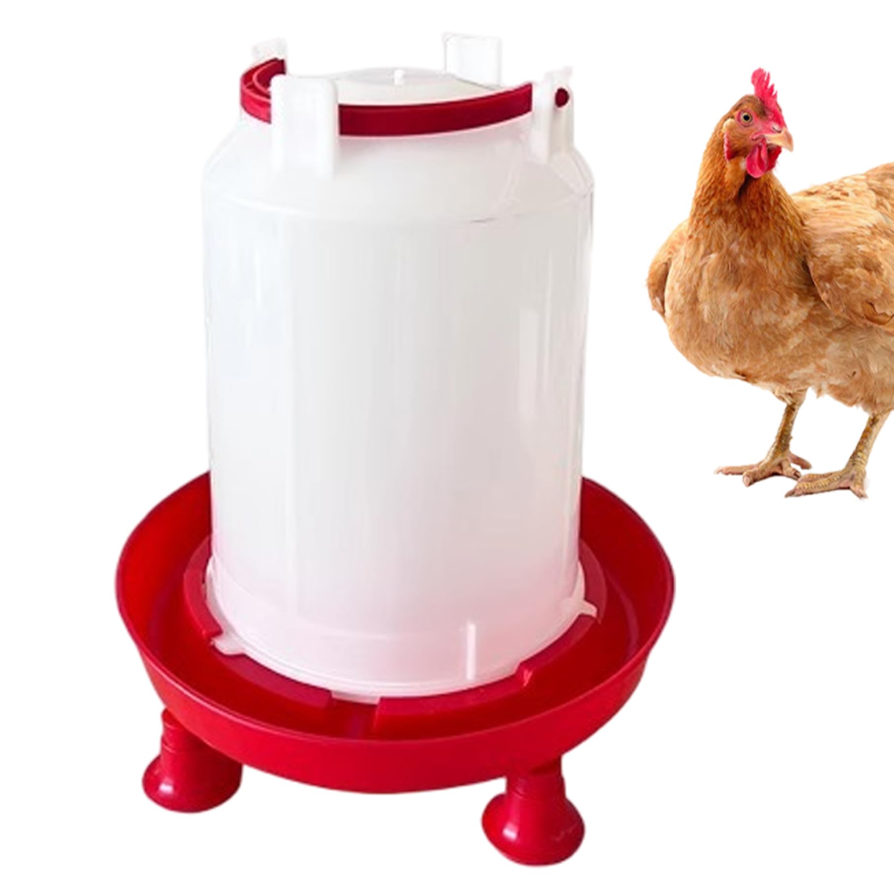 Bebedero para Pollos calentado de plástico Grueso de 3L con Soporte para piernas y Mango, Bebedero para Aves de Corral extraíble sin Desperdicio para gallinero