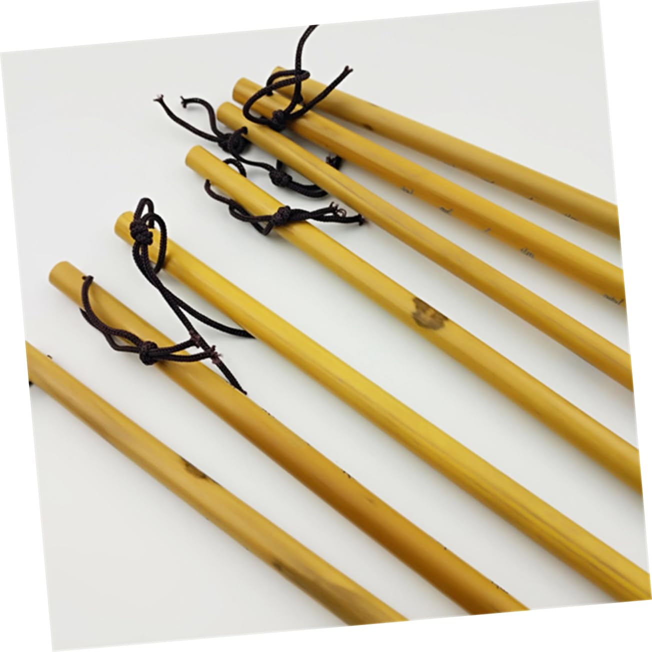 DIYEAH 3Pcs Calligraphy Brushes Weasel Hair Writing Pens for Art and Painting Includes for Students and Professionals