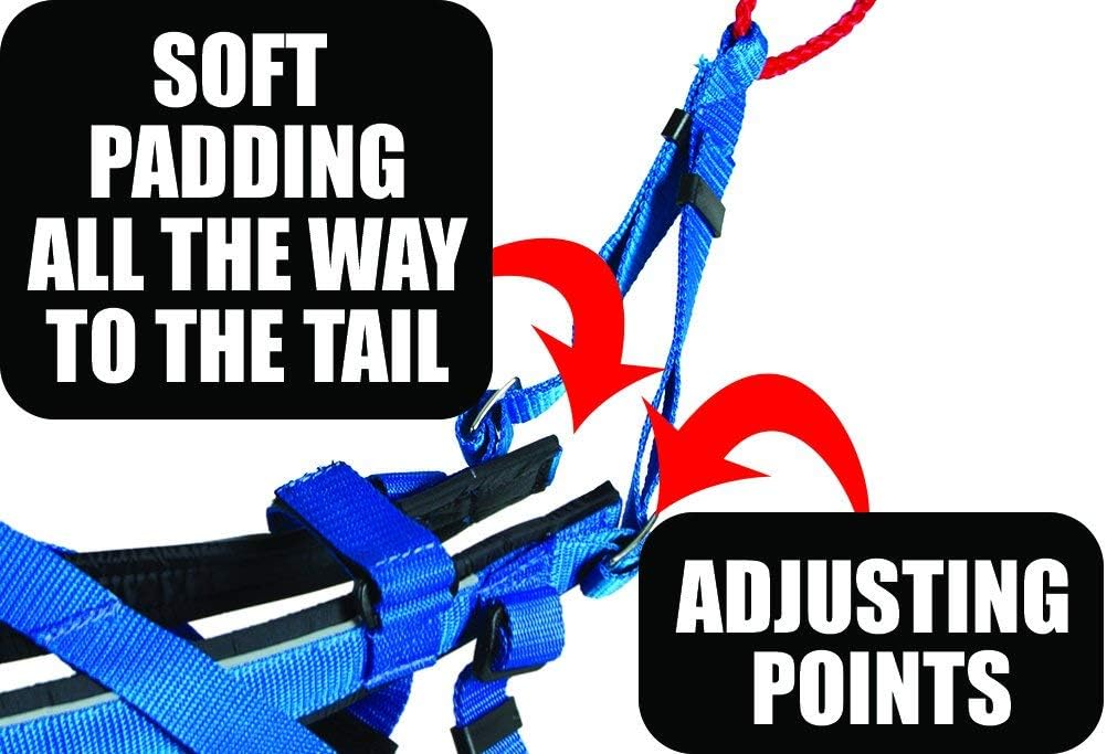 Neewa Adjustable Racing Harness (Large, Black) - Ideal for Dog Pull with Bike, Skateboard, Rollerblade, Cart, Canicross