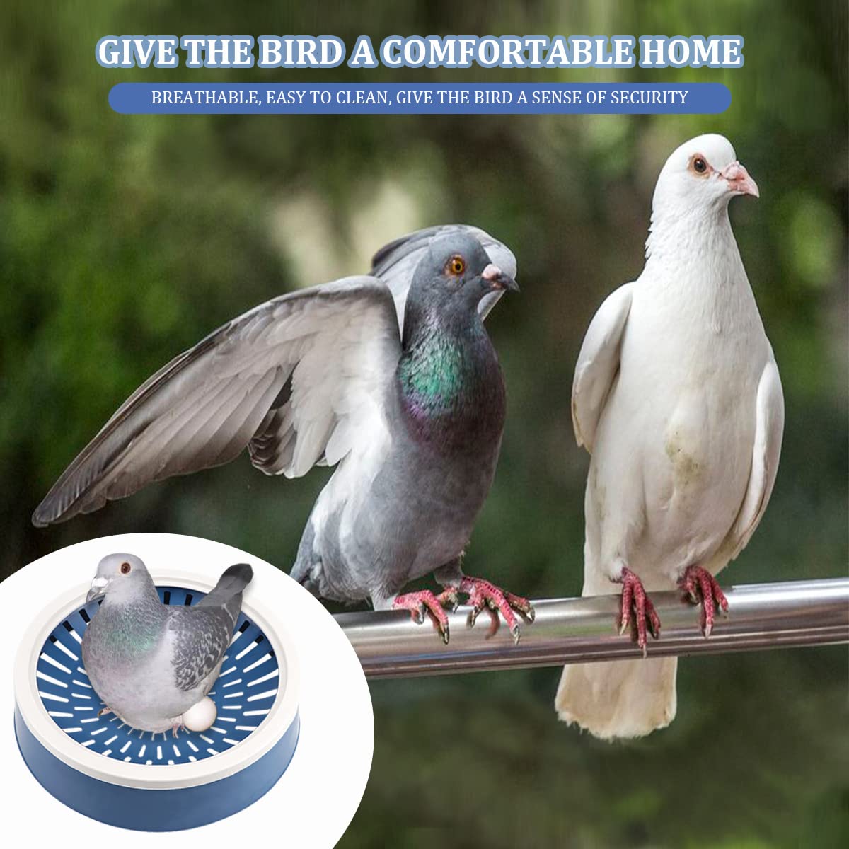 VTurboWay 6 Stück Kunststoff Taubennester – Nistschalen Für Kleine Vögel, Wachteln, Blau & Grün (ca. 21-22 Cm Durchmesser)