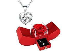 Eternal Love: Preserved Rose and Sterling Silver Necklace