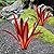TOMBABY Enlarge Thickened Wind Resistant Metal Agave Garden Art Metal Plant Country Garden Sculpture Statue Outdoor Decoration Agave Metal Plant Courtyard Garden Lawn Ornament Gift (2, 12 Leaves red)