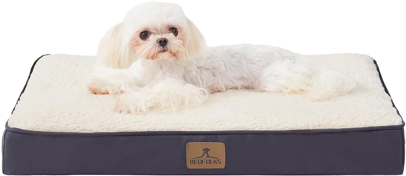 Bedfolks Orthopedic Dog Bed for Small Dogs – Egg Foam Dog Crate Bed with Removable Waterproof Cover, Pet Bed Mat Suitable for Dogs and Pets Up to 20 lbs (24 x 16 x 3 inches, Grey) Bedfolks Orthopedic Dog Bed for Small Dogs – Egg Foam Dog Crate Bed with Removable Waterproof Cover, Pet Bed Mat Suitable for Dogs and Pets Up to 20 lbs (24 x 16 x 3 inches, Grey)