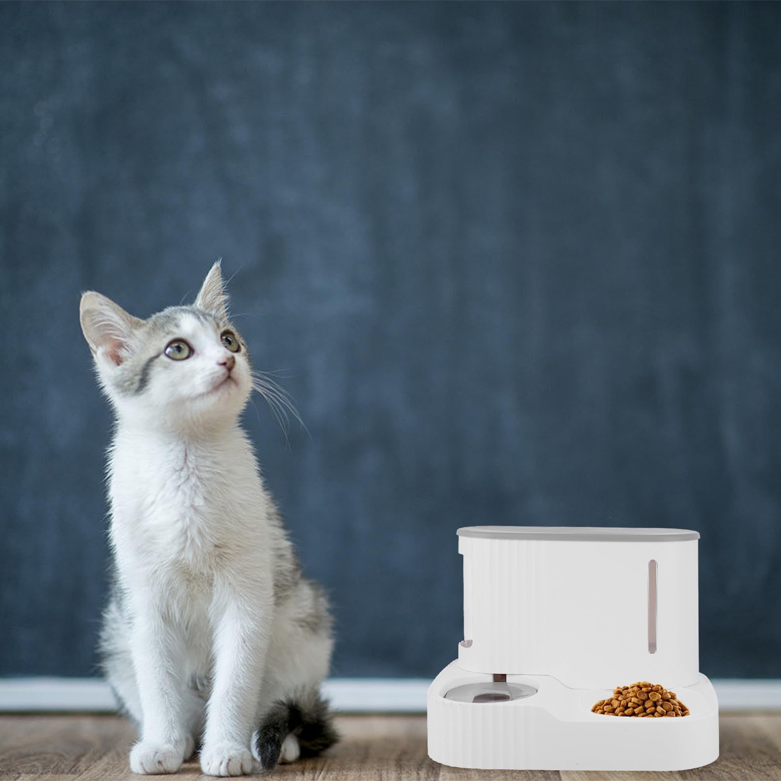 Mikikit Distributeur Automatique de Nourriture et d'eau et 0,85l d'eau Réservoir 3l de Croquettes en Matériaux Hips et Pet pour Chat et Petit Chien pour Usage Domestique