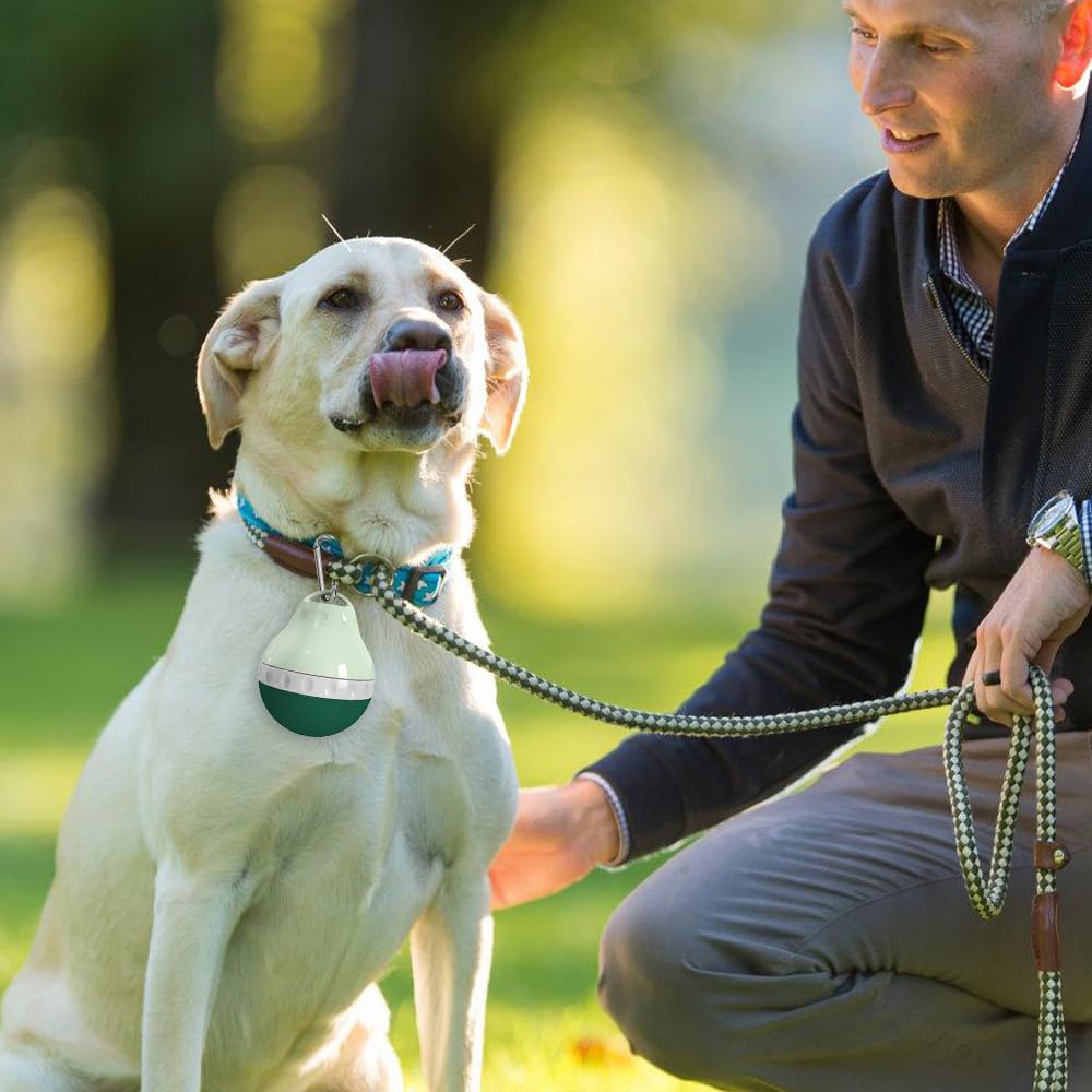 View 7