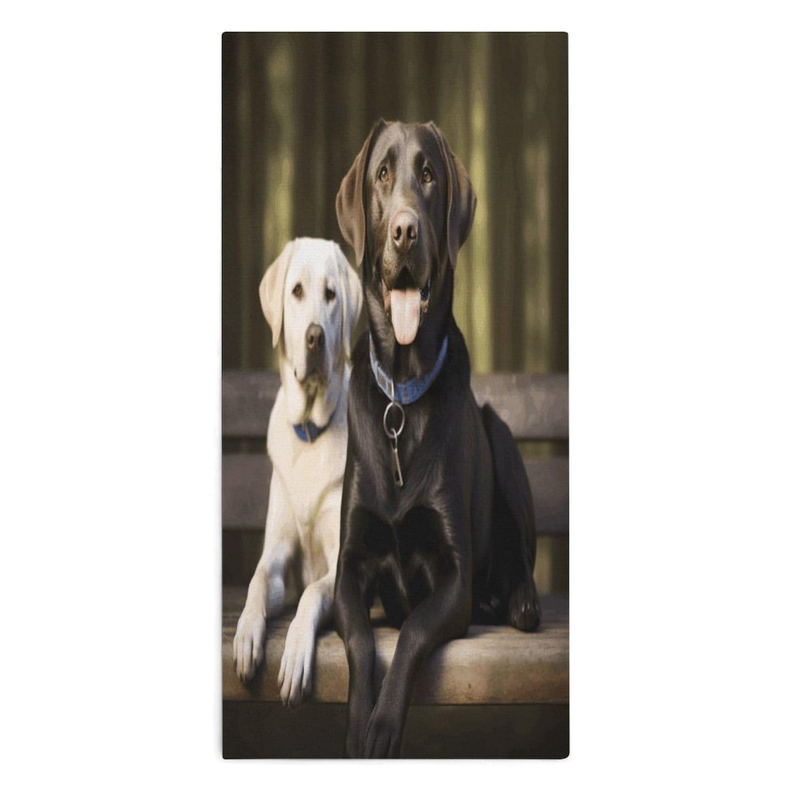 VstaDank Labrador Towel Quick Dry Absorbent Towels for Beach Thin Soft Lightweight Travel Bath Towel Sand Free Super Microfiber Face Towels for Sport Bath Adults