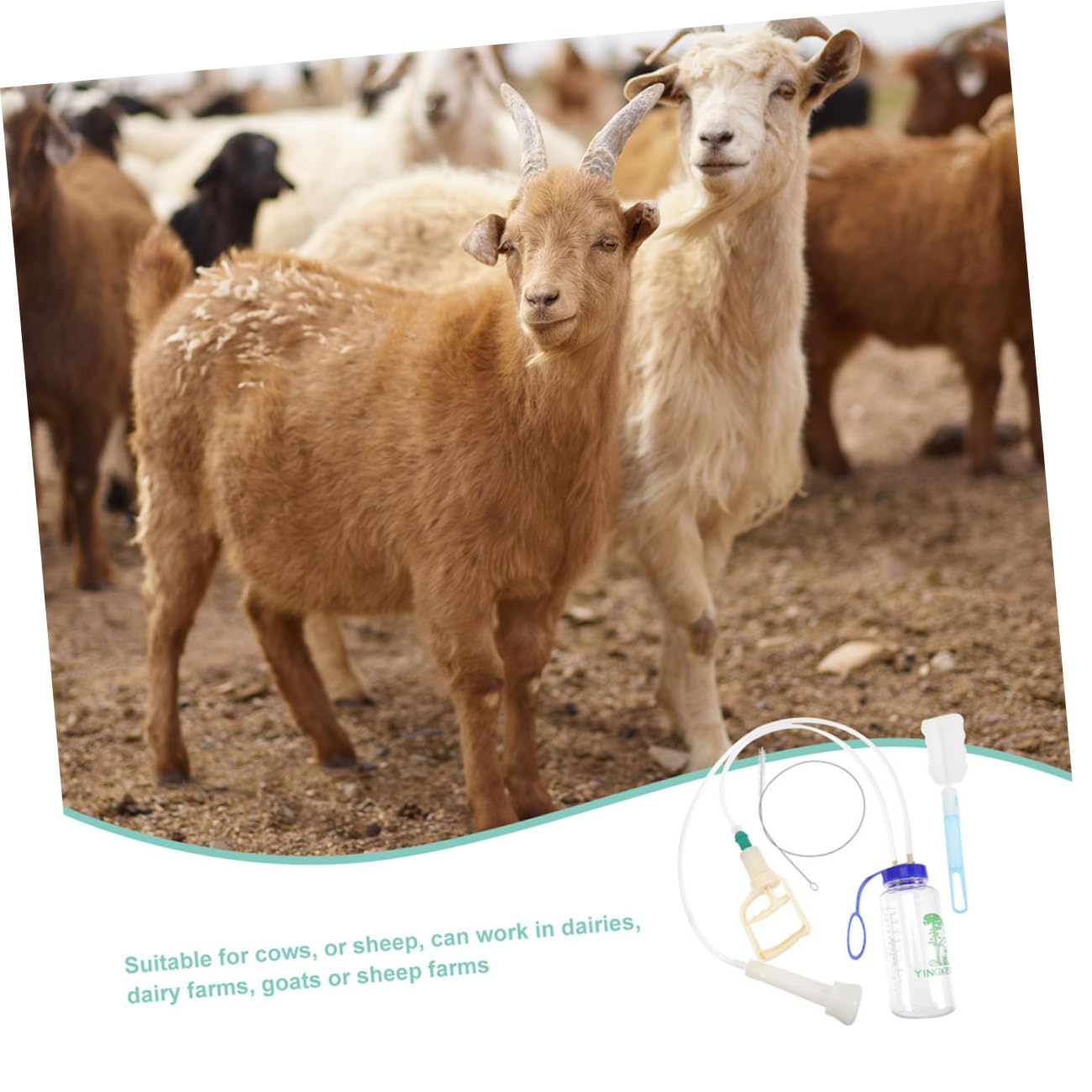 VANZACK Mungitrice Portatile Manuale Per Pecore e Mucche Completo Bottiglia Pp Trasparente Resistente e Leggera Facile Da Pulire e Trasportare Per Piccole Aziende Agricole o Uso Domestico