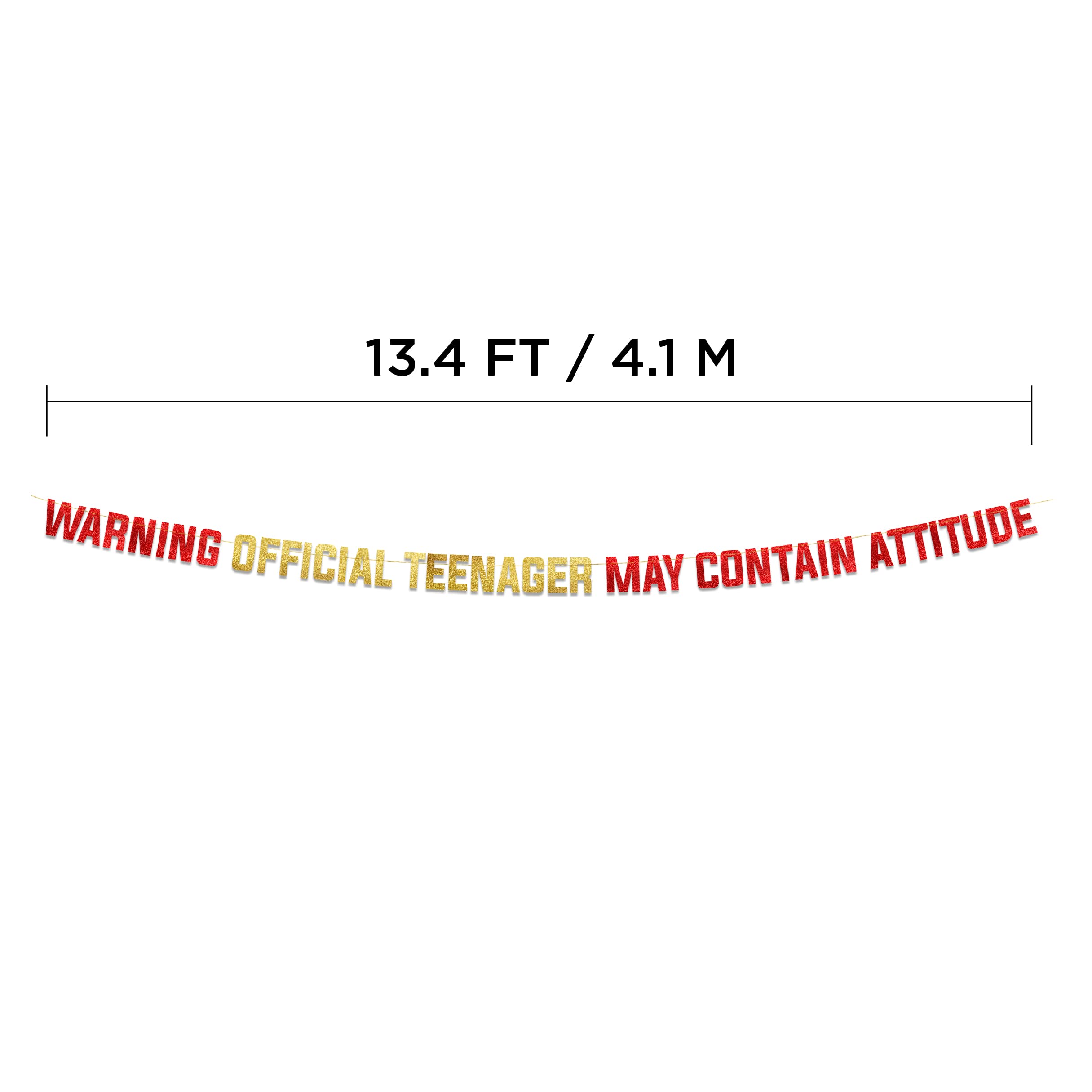 Goldenes Glitzer-Banner mit Aufschrift "Warning Official Teenager May Contain Attitude", Partyzubehör, Ideen, Geschenke und Dekorationen