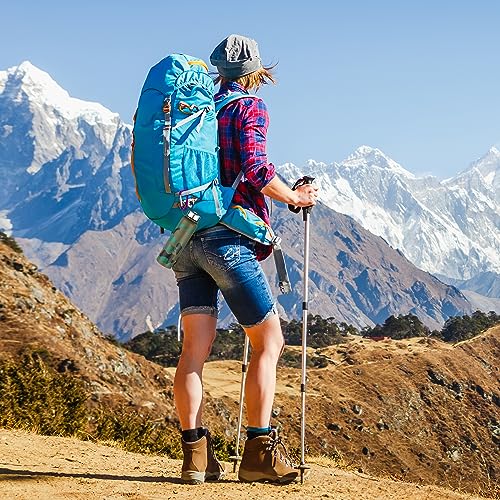 Image of sprookber 3 inch Aluminum Carabiner D Ring, Caribeener Clips, Spring Snap Hook for Keychain Clip, Set of 10