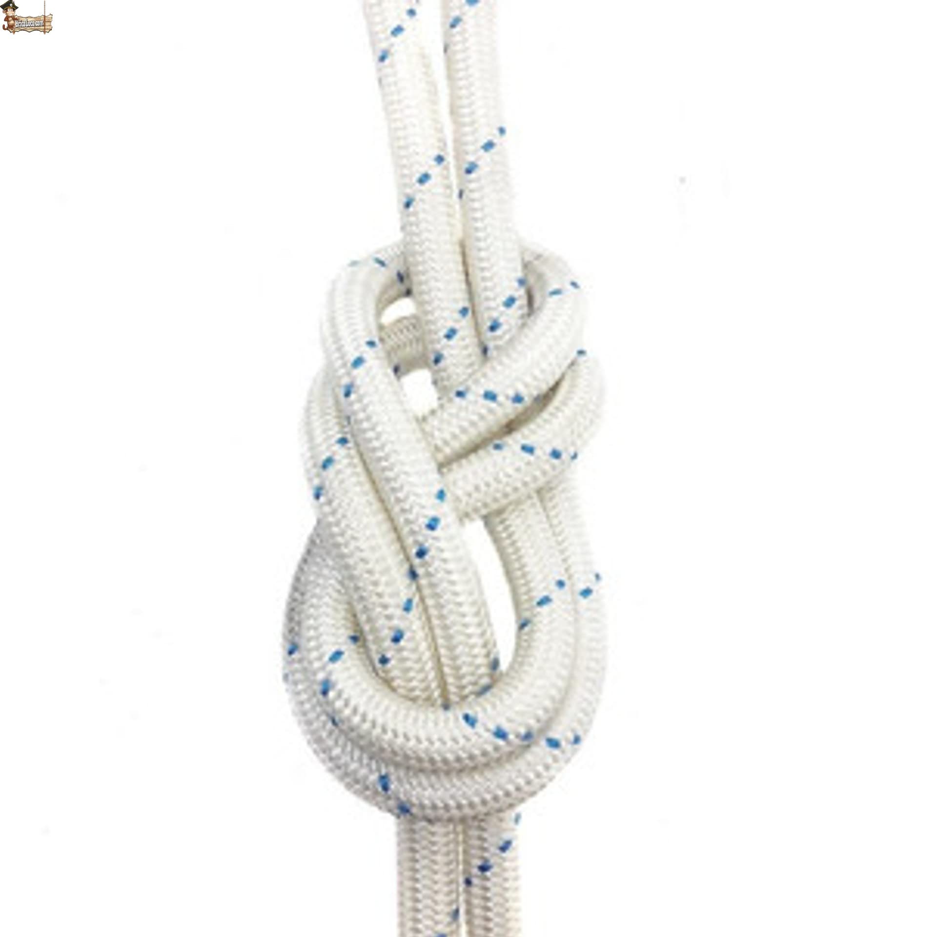 BricoLoco.com Cuerda driza Nylon Trenzada. SOGA Fibra sintética de Nylon. Cabo Amarre, Agricultura, ganadería, construcción, decoración, Crossfit. Alta Resistencia. (50, Ø 8 mm.)