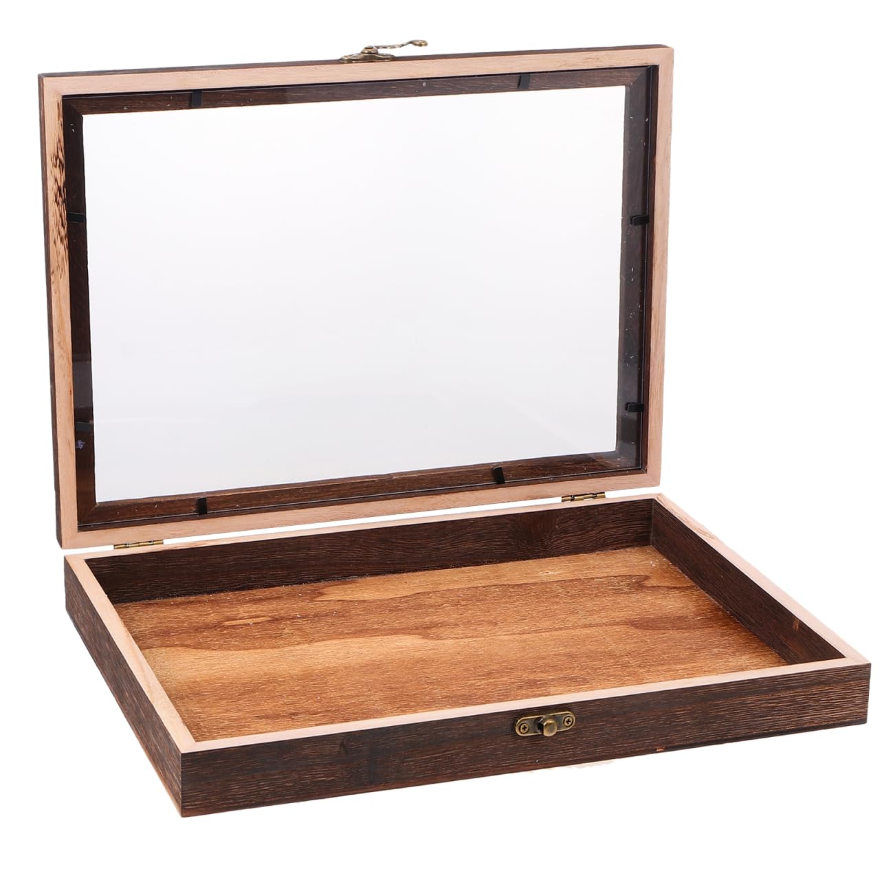 Fournitures d'entomologie et vitrine boîte de collecte transparente en bois pour bijoux