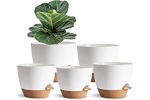 5 Pack Self Watering Planters for Lazy Owners