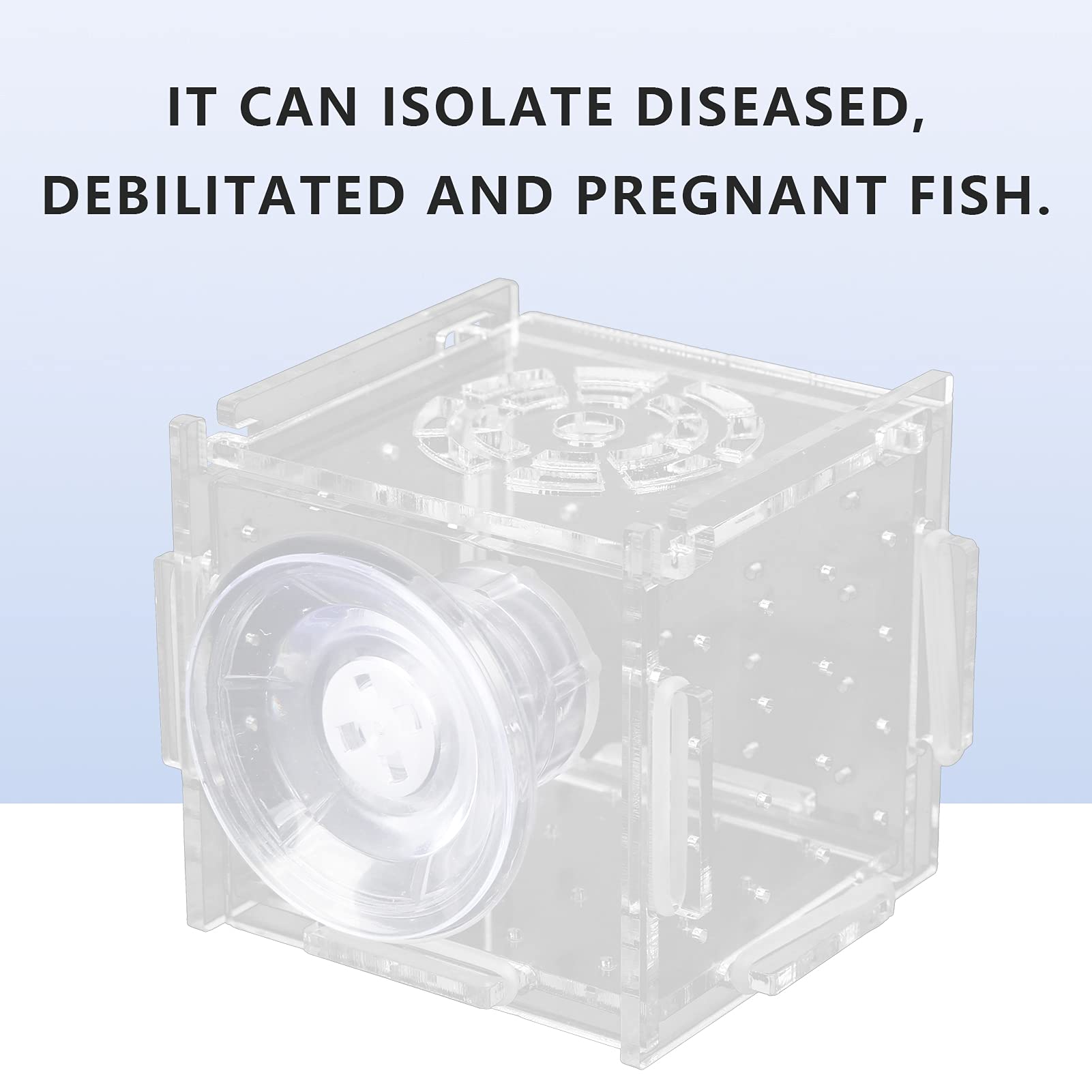 Scatola Di Isolamento Per Pesci E Gamberetti - Acrilico Trasparente Con Griglia - Foto 3