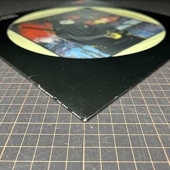 Amazon | ピクチャー盤 スターリン THE STALIN 虫 3rd LP ほぼ美品美盤