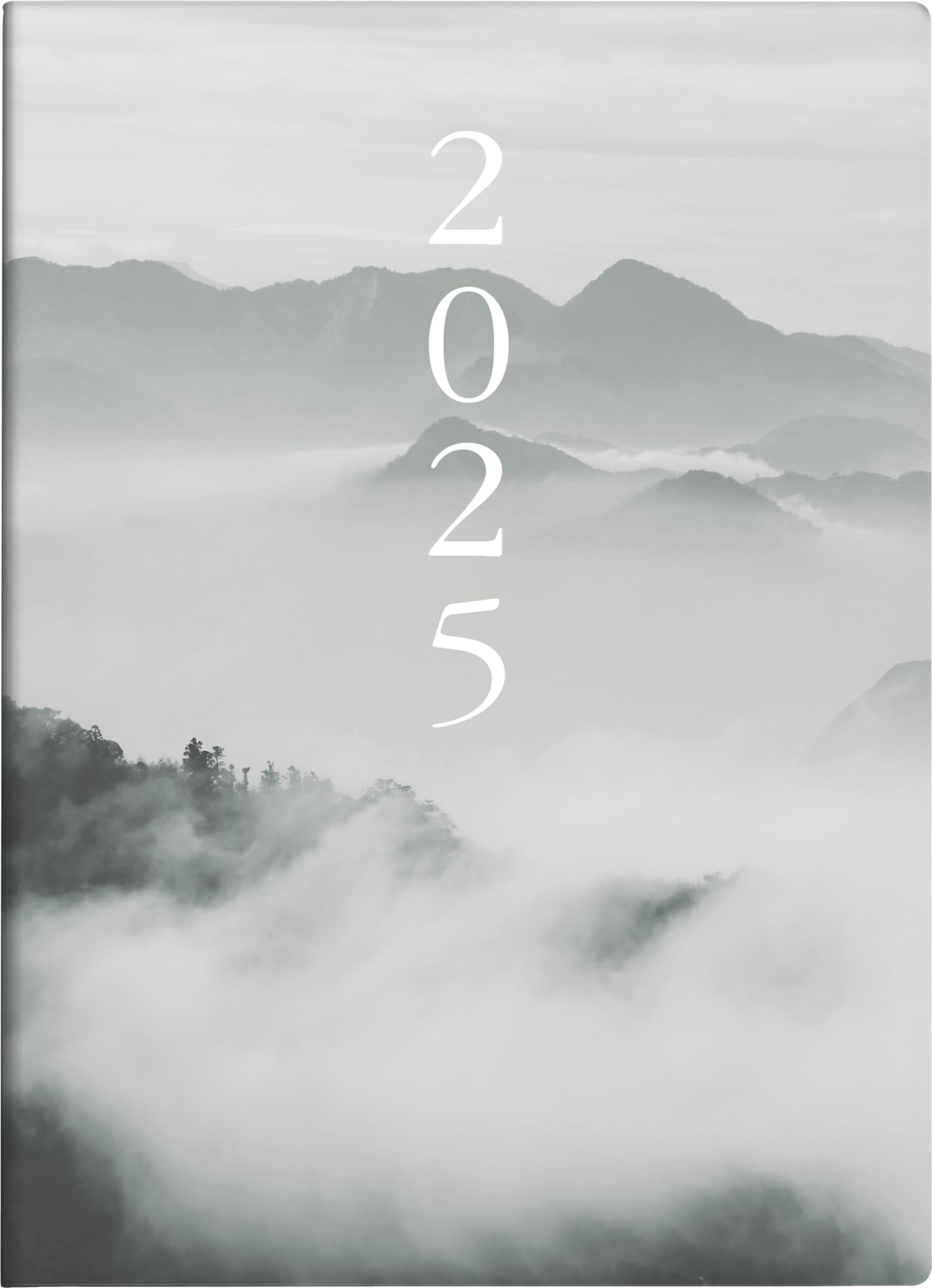 rido/idé Pocket Diary Model Technik S (2025) "Cloudy Mountains", 2 Pages = 1 Week, A6, 144 Pages, Graphic Cover, Grey