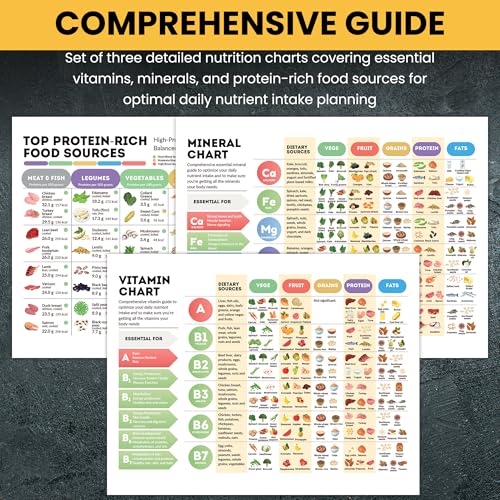 Vitamines minéraux guide des aliments riches en protéines éducatif