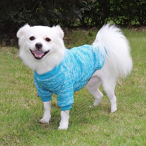 HuaLiSiJi Hundepullover Kleine Hunde Chihuahua Pullover Hunde Hoodie Hunde Strickpullover, Elastizität Warm und Leicht, Mit Einer Weichen Textur, Leicht zu Tragen (Blau, XS)