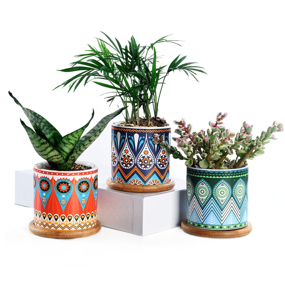 XIAOXIN Set of 3 Succulent Plant Pots, 3.15 Inch Round Vases Cactus Ceramic Planters with Trays & Drainage Hole Mandalas Pattern
