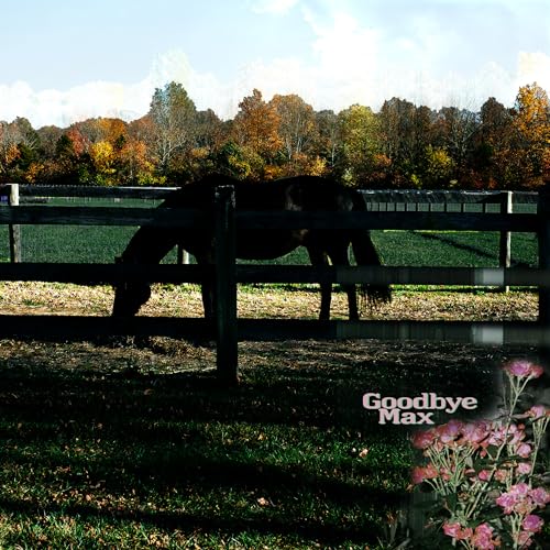 Goodbye Max