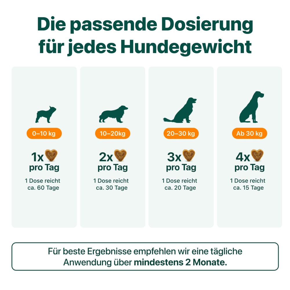 DogSuppy Juckreiz Linderung, Probiotika für Hunde, gegen Juckreiz und zur Stärkung des Immunsystems, Unterstützt die Verdauung & Darmflora, 3 Milliarden Probiotika pro Snack, 60 leckere Snacks