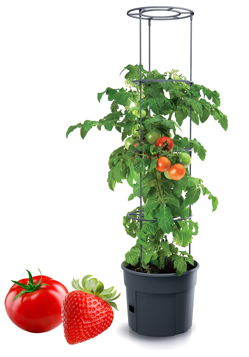 Tymar Tomato Pot, Tomato Pot, Tomato Plant, Tomato Balcony, with Trellis Range, with Water Reservoir (Pack of 1, Diameter 40 cm)