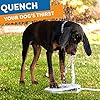Dog-Fountain-Water-Fountain-Dog-Sprinkler-Dog-Toys-for-Large-Or-Small-Dog-Bowl-Alternative Dog Sprinkler for Large Dogs