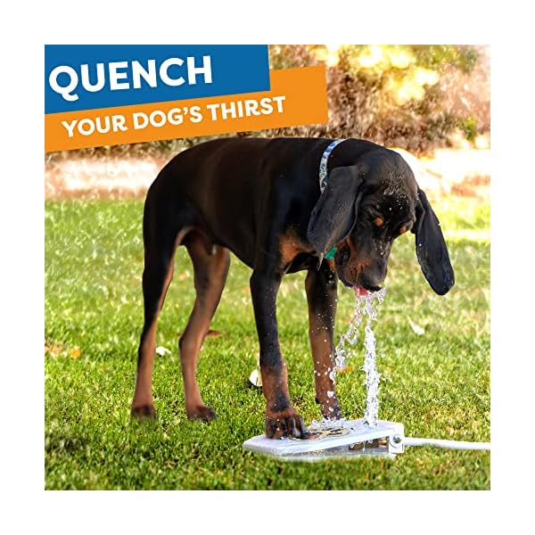 Dog-Fountain-Water-Fountain-Dog-Sprinkler-Dog-Toys-for-Large-Or-Small-Dog-Bowl-Alternative Dog Sprinkler for Large Dogs