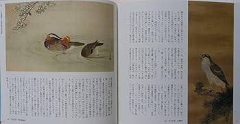 Amazon.co.jp: 『リアル 最大の奇抜』図録江戸絵画 文人画 南画