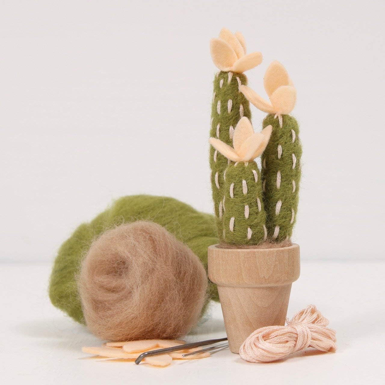 Needle Felting Cactus Kit -Peach Mojave