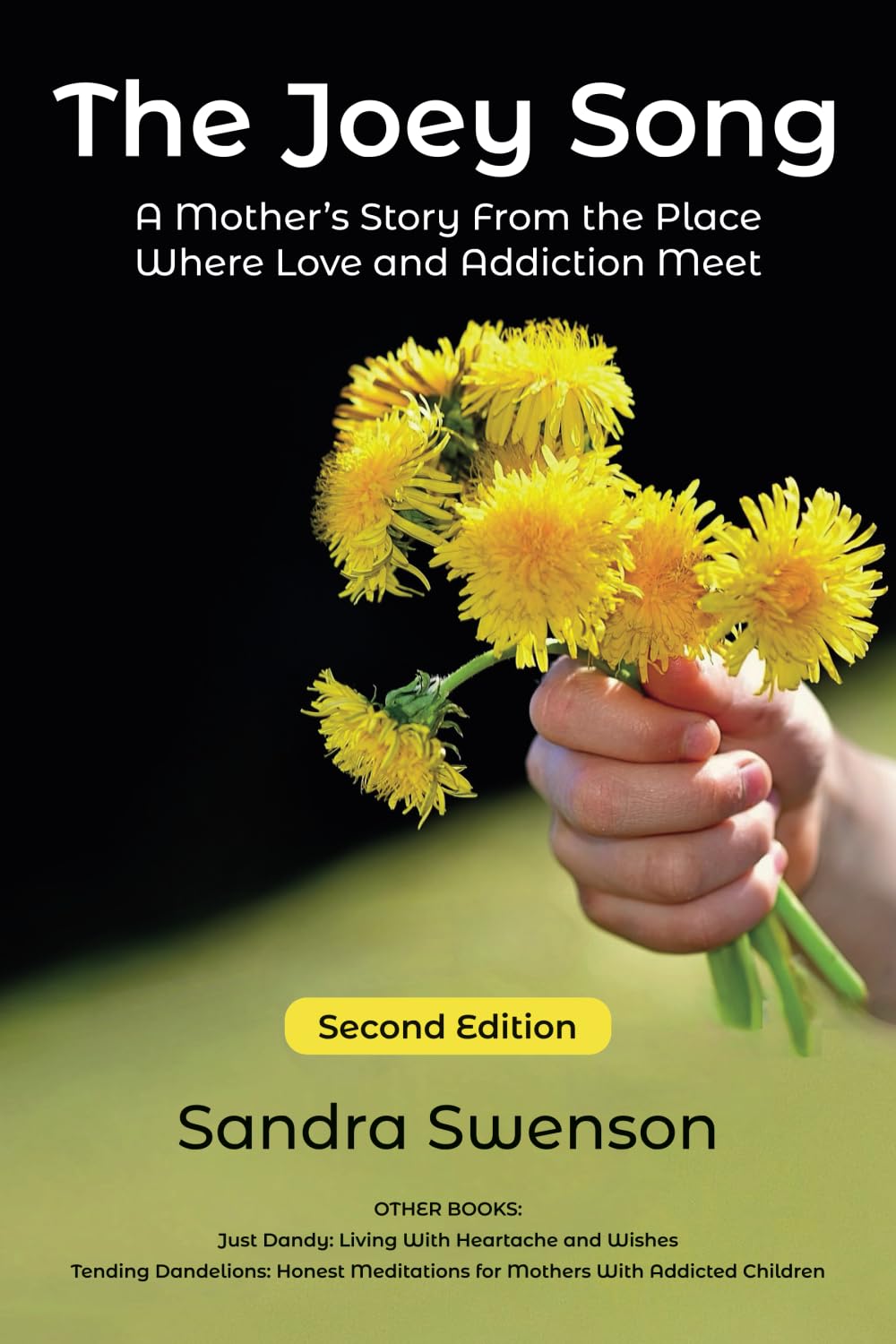 The Joey Song: A Mother’s Story From the Place Where Love and Addiction Meet