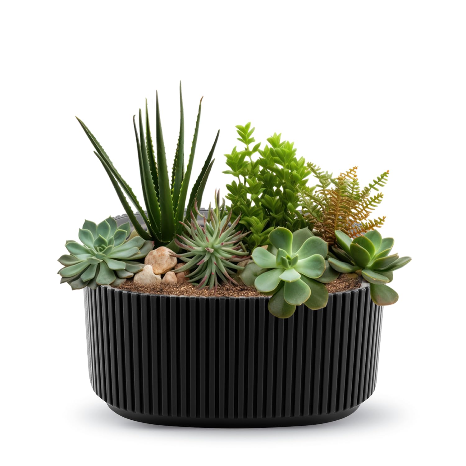 alqua 20CM Elliptical Self Watering Plant Pot Black Plastic Flower Pot with Drainage Large Modern Matte Planter for Indoor & Outdoor Use Arrangement Container Stylish Plant Decor