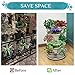 Amazing Creation Stackable Planter, Vertical Oasis Tiered Garden Planter, Grow Vegetables, Herbs, and Succulents with Ease