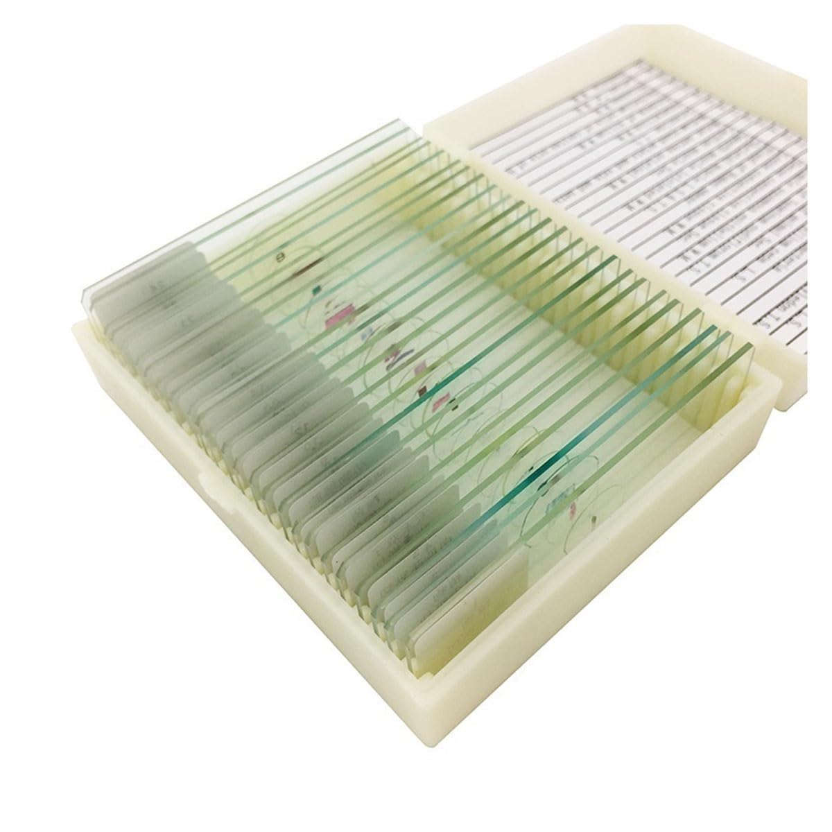 Accesorios para Microscopios Muestra biológica de portaobjetos de microscopio preparados Durabilidad Y Rendimiento Confiable