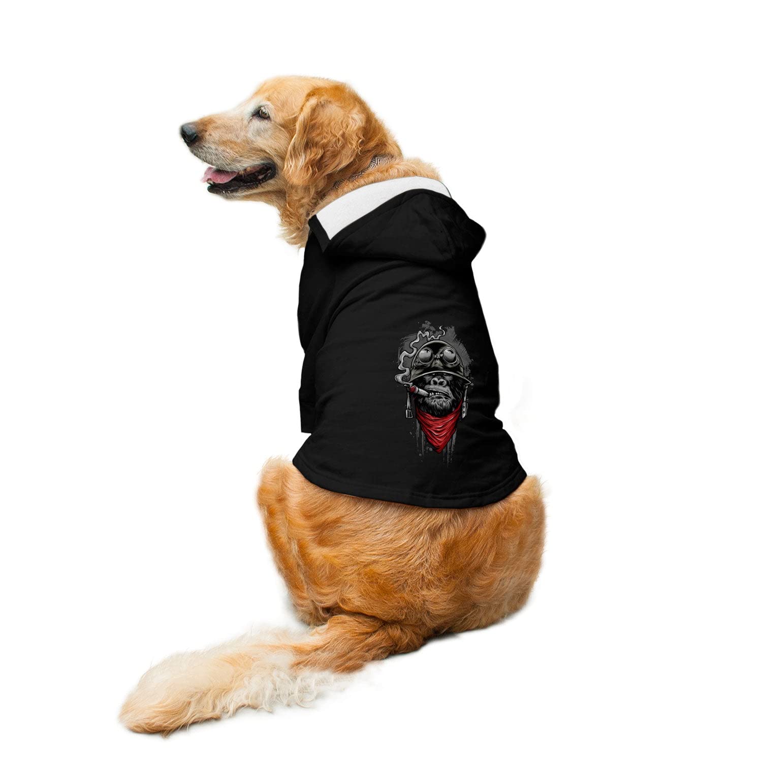 See full amazon price history chart for Ruse Pet Ape of Duty Printed Full Sleeves Dog Autumn Winter Hoodie Jacket/Apparel/Clothes/Jackets Gift for Big and Small Dogs.(Black/XL) Ruse Pet Ape of Duty Printed Full Sleeves Dog Autumn Winter Hoodie Jacket/Apparel/Clothes/Jackets Gift for Big and Small Dogs.(Black/XL) (B0BFXDVLT4) Amazon Price History, Amazon Price Tracker