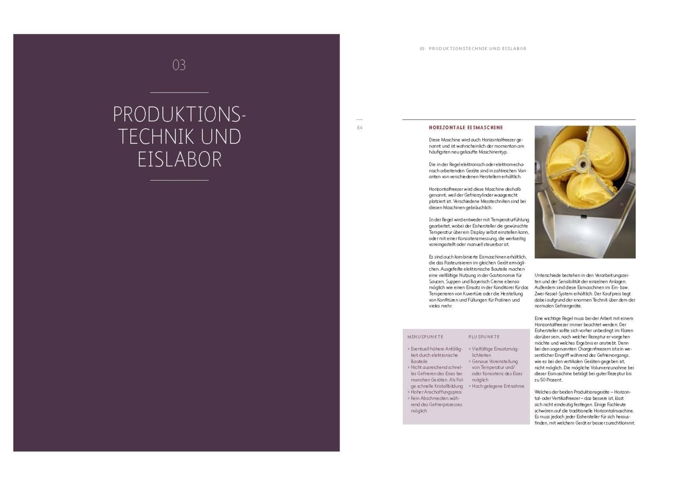 Eismanufaktur: Basics, Rezepturen, Marketing