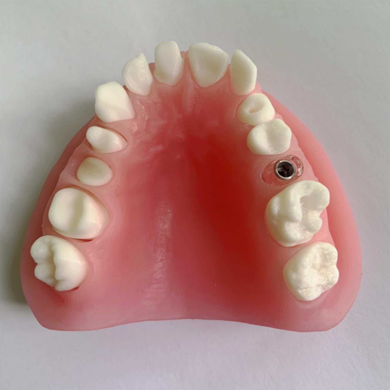 Modello espositivo per Protesi Dentarie Manichino Dentale Modello didattico per odontoiatria Orale Stampi per odontoiatria Orale,B