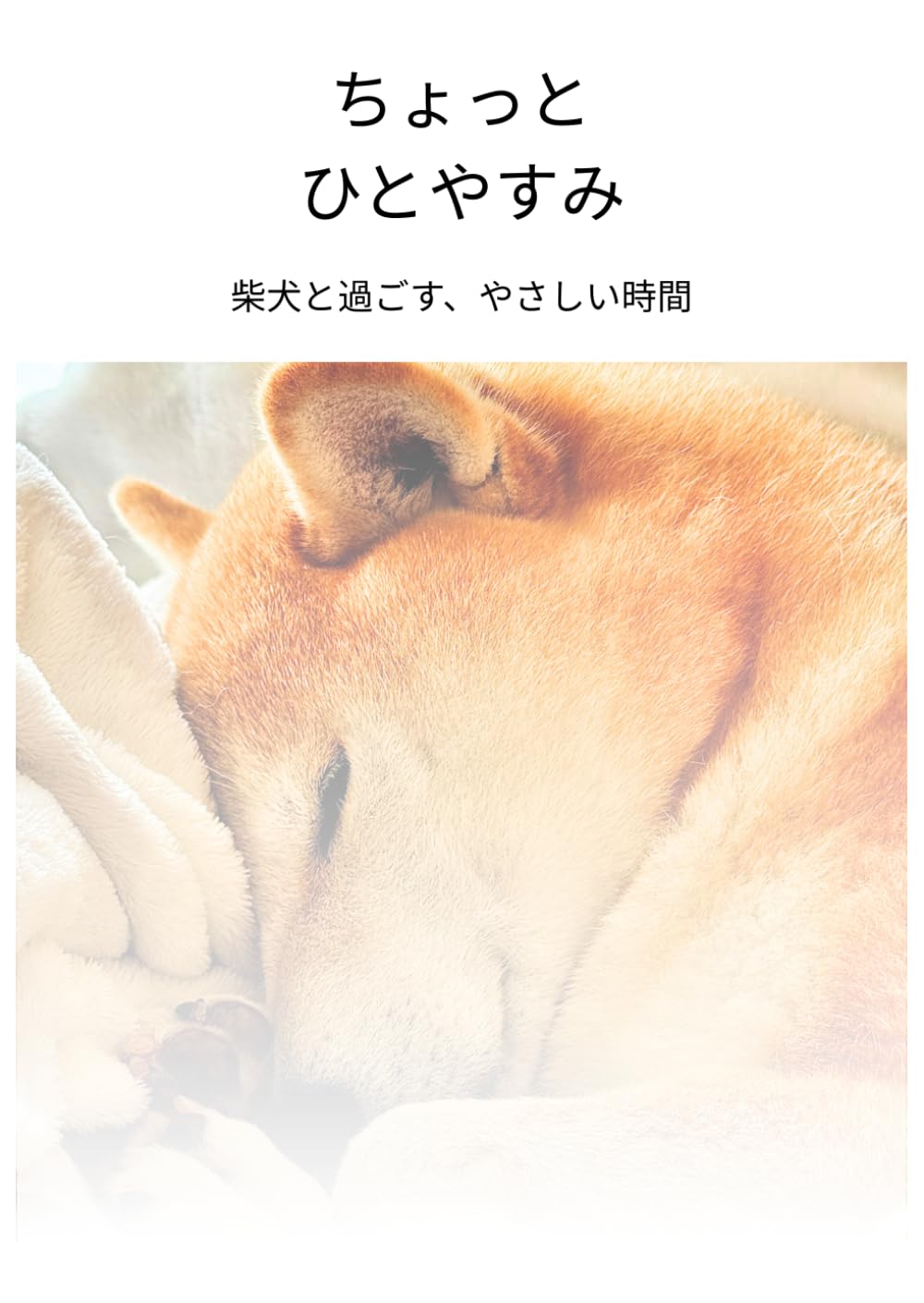 ちょっと ひとやすみ: 柴犬と過ごす、やさしい時間