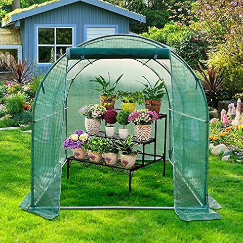 Panana Walk-in Greenhouse with Galvanised Frame Cover