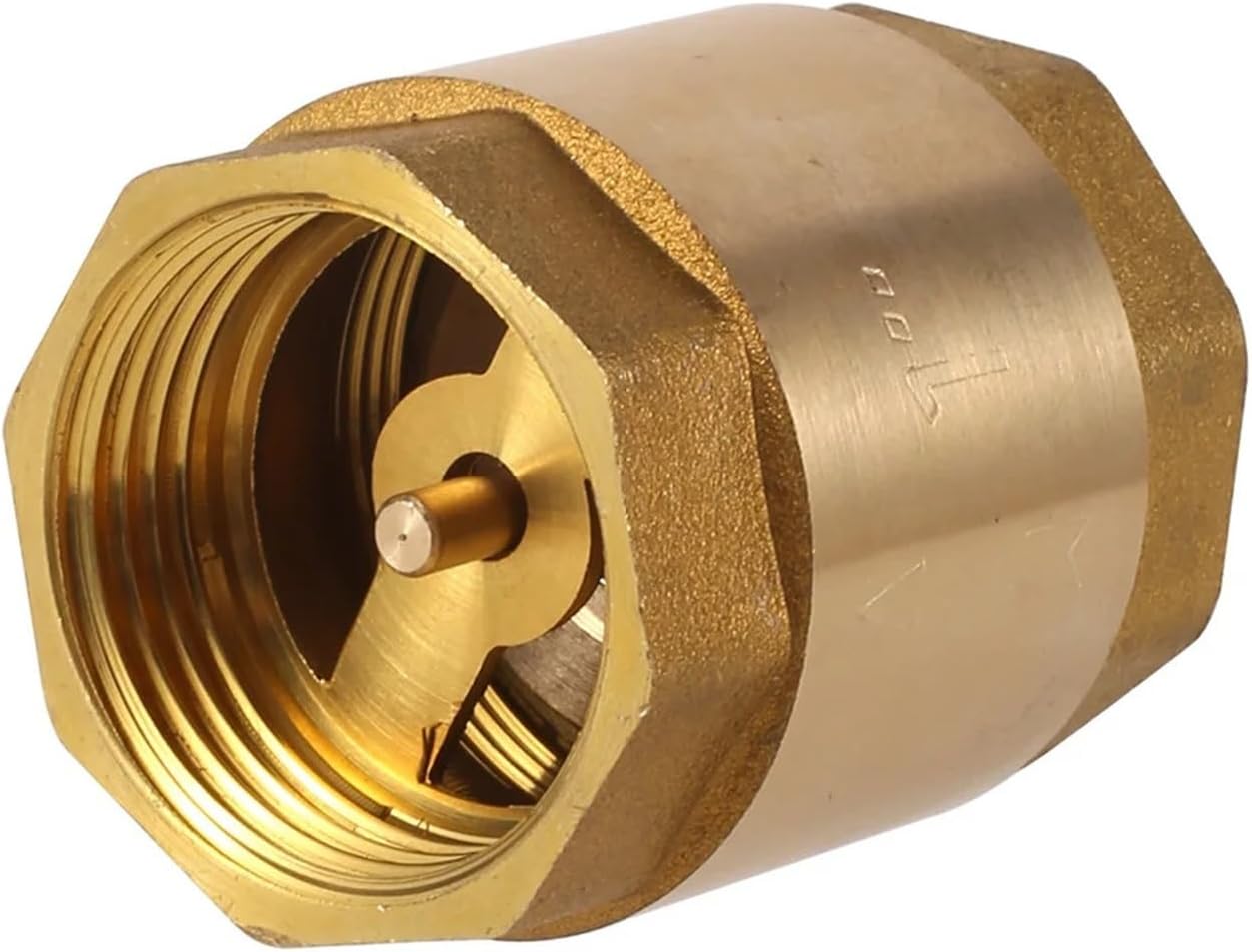 Brass In-Line Spring Check Valve 1/2” 3/4” 1”(1 Inch Check Valve,5Pcs)