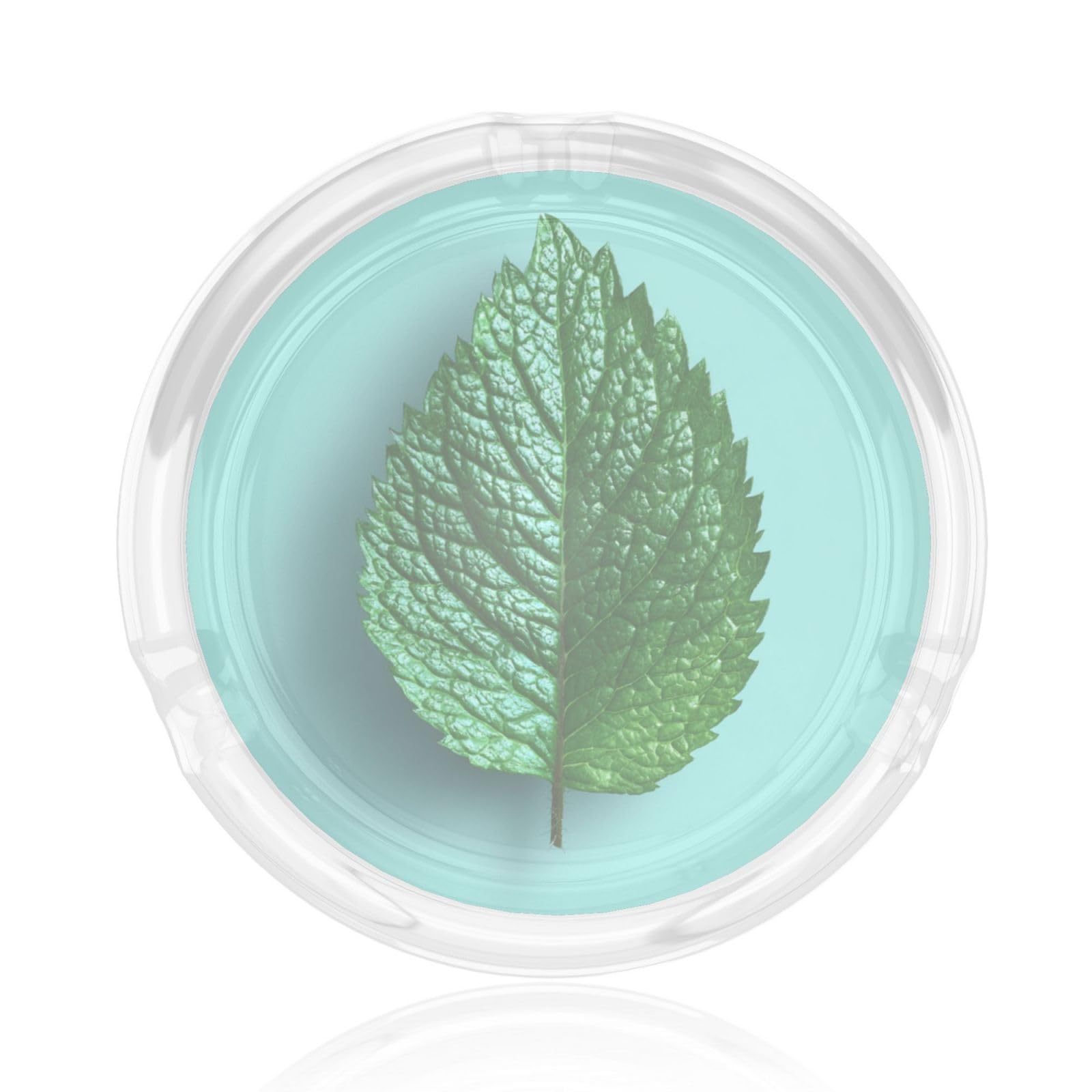 Green Leaf Glass Ashtray For Cigarettes Ash Trays Case For Home Office Decor