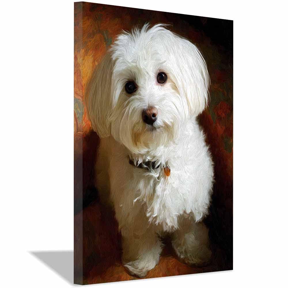 ZAMAEIU Canvas Print Wall Art Mal Painting Abstract Dog Animal Paintings, Suitable for living room, bedroom, for Kids Room Decoretc.(white)-30x50cm Framed