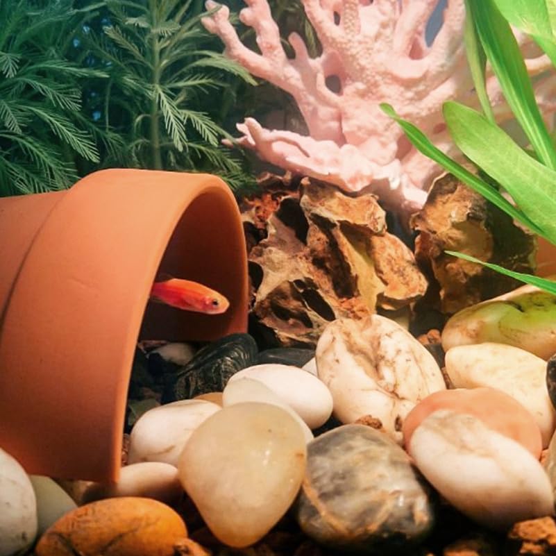 Homsfou 2-Teiliges Reptilienversteck Und SchildkröTenplattform Aus Ton Terrarium ZubehöR FüR Innen- Und AußEngehege Versteck Und Sonnenplatz FüR SchildkröTen Und Reptilien