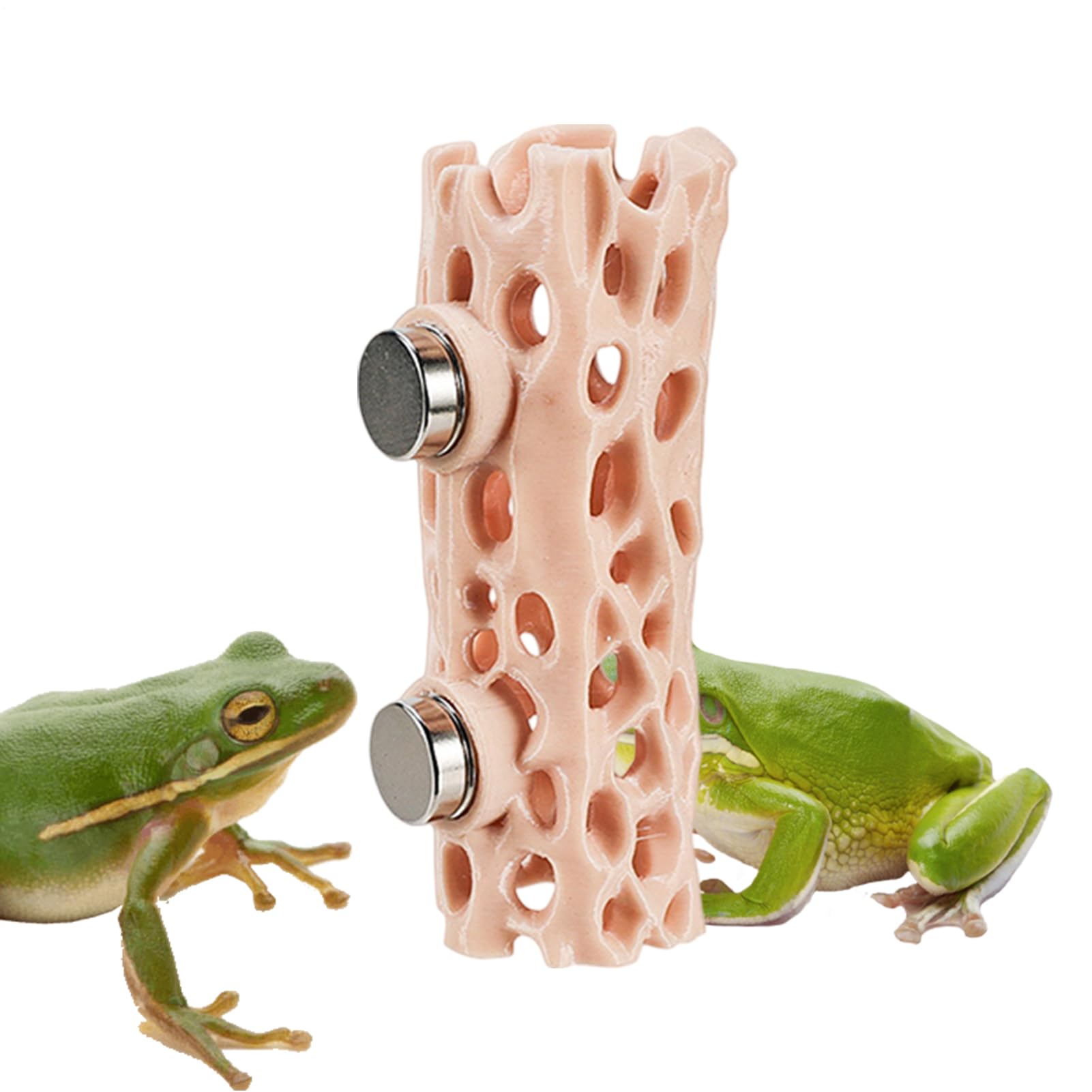 Spider Shelter - Magnetic Reptile Hiding Place | 3D Printed Gecko Cave, Sturdy Habitat for Jumping Spider, Climbing Pet Frog, Amphibian Enclosure, Safe and Easy-to-Attach Terrarium Accessory