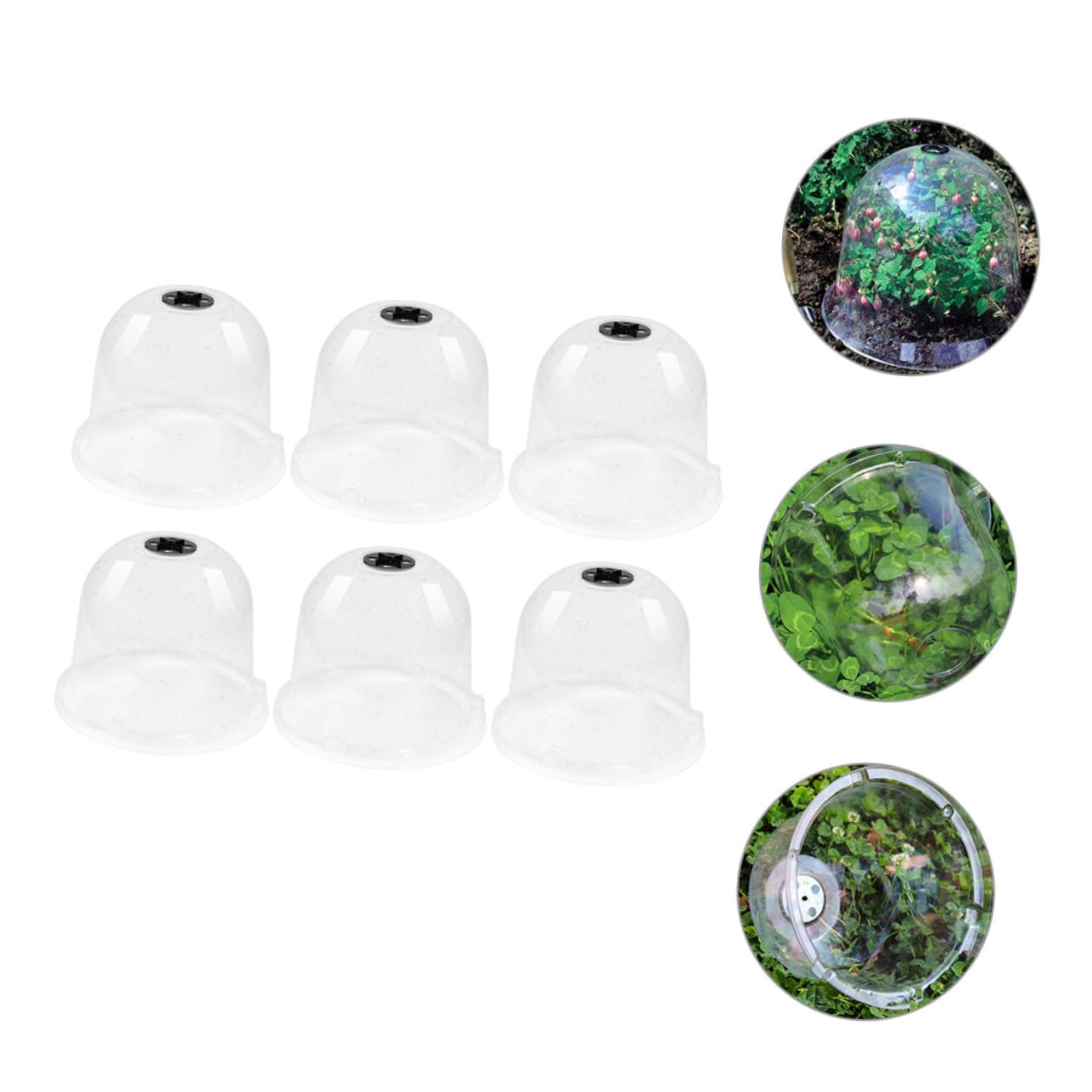 Toyvian 6 Pièces Cloche de Jardin Transparente Protection Gel Froid pour Plantes Fleurs Couverture de Culture Réutilisable pour Jardinage à Projets Paysagers