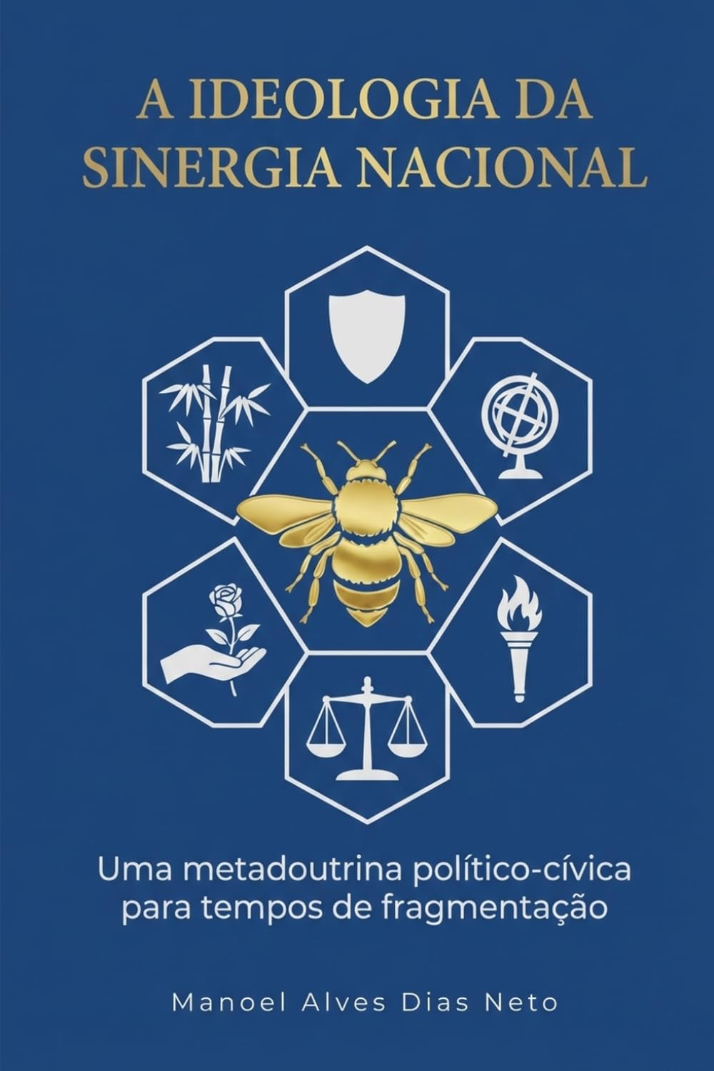 A Ideologia da Sinergia Nacional: Uma metadoutrina político-cívica para tempos de fragmentação
