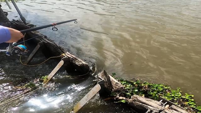 blowgun fishing reel Amazon.com : Slock Master Fish Hawk Blow Gun, Includes Ten 12