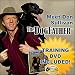 Don Sullivan The Perfect Dog Command Collar with Training DVD Disk (Large)